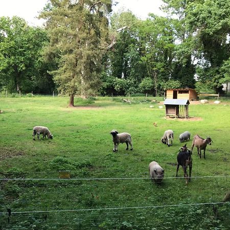 Ferienwohnung Schloss Schrattenthal Zewnętrze zdjęcie