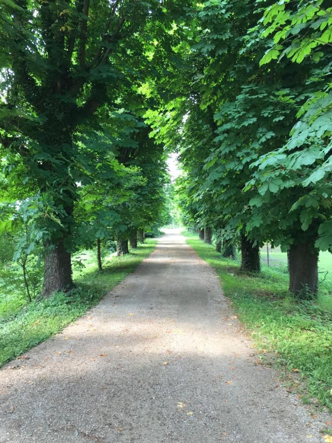 Ferienwohnung Schloss Schrattenthal Zewnętrze zdjęcie